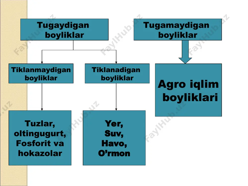 o'zbekistonning tabiiy resurslari va boyliklari - Page 4