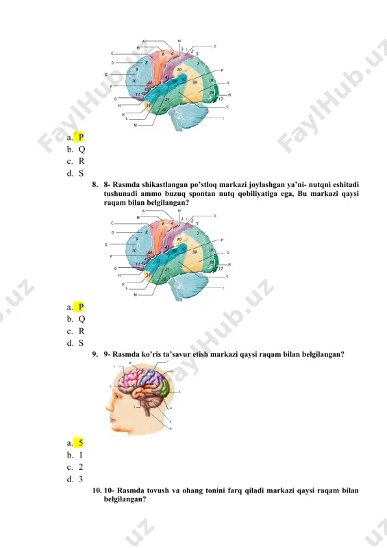 tomografiya test savollari - Page 3
