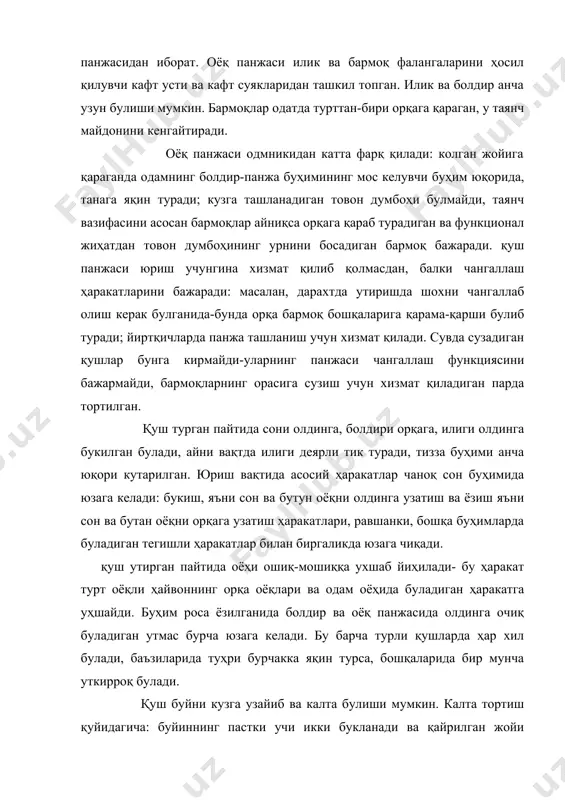 онини кенгайтиради. оёқ панжаси одмникидан катта фарқ қилади: колган жойига қараганда одамнинг болдир-панжа буҳимининг мос келувчи буҳим юқорида, танага яқин туради; кузга ташланадиган товон думбоҳи булмайди, таянч вазифасини асосан бармоқлар айниқса орқага қараб турадиган ва функционал жиҳатдан товон думбоҳининг урнини босадиган бармоқ бажаради. қуш панжаси юриш учунгина хизмат қилиб қолмасдан, балки чангаллаш ҳаракатларини бажаради: масалан, дарахтда утиришда шохни чангаллаб олиш керак булганида-бунда орқа бармоқ бошқаларига қарама-қарши булиб туради; йиртқичларда панжа ташланиш учун хизмат қилади. сувда сузадиган қушлар бунга кирмайди-уларнинг панжаси чангаллаш функциясини бажармайди, бармоқларнинг орасига сузиш учун хизмат қиладиган парда тортилган. қуш турган пайтида сони олдинга, болдири орқага, илиги олдинга букилган булади, айни вақтда илиги деярли тик туради, тизза буҳими анча юқори кутарилган. юриш вақтида асосий ҳаракатлар чаноқ сон буҳимида юзага келади: букиш, яъни сон ва бутун оёқни олдинга узатиш ва ёзиш яъни сон ва бутан оёқни орқага узатиш ҳаракатлари, равшанки, бошқа буҳимларда буладиган тегишли ҳаракатлар билан биргаликда юзага чиқади. …