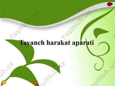tayanch harakat aparati — PPTX