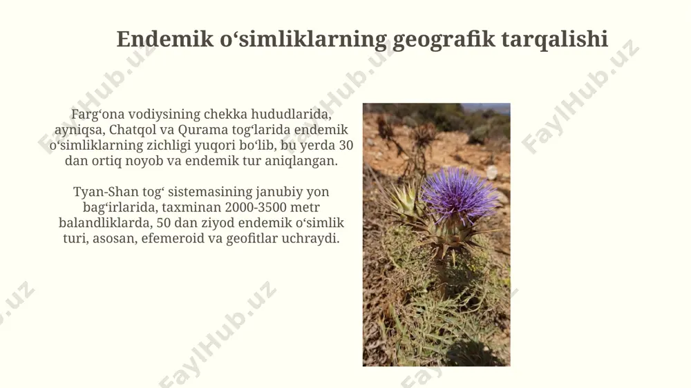o’zbekiston florasi endemlari - Page 4