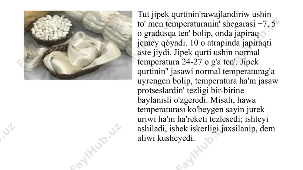 eyip ketedi, organizmde zat almasiniwi, dem aliwi ha'm jurek uriwi tezlesedi. besinshi jastag'i qurtdin' bir minutta jurek uriwi 60% -33; 75% - 42; 90% ta bolsa 46 marte. joqari ig'alliqta qurttin' rawajlaniwi tezlesedi, aziqti jiyiwi ha'm sing'iwi artadi, ko'lemi ulkeyedi. biraq zat almasiniwi tezlesiwi onin' jasawshanlig'ina keri tásir etedi. aziqliq qaldiqlari plisliydi, kesellik kelip júdá kópdi.kerisinshe, ig'alliq kemeyip ketse, japiraq tez quriydi, onin' jeliniw qasiyeti kemeyedi, qurt kisi pille oraydı, pillenin' sapasi jamanlasadi. qurt bag'ilatug'in xanada en' qo'layli salistirmali ig'alliq 25-27 o jilliliqta, kisi jastag'i qurt ushin 70-75%, ulken jastag'i qurt ushin 24-25 osda 65-70%, pille oraw dawirinde 25-26 os de 60 -70% di sho'lkemlestiredi. eger qurt bag'ilatug'in xanada ig'alliq normadan asip ketse, qurtxanani tez-tez samallatip turiw kerek, zárúr bolsa peshkani jag'iw, ig'alliq kemeygende bolsa qurtxanag'a suw sebiw, ig'allang'an material asip qoyiw kerek. qurtxana hawasini almastiriwda samallatiwdin' jan'a usili qollanilip qurt barha taza hawa menen tamiynlep turılg'anda 20 gramm qurttan …