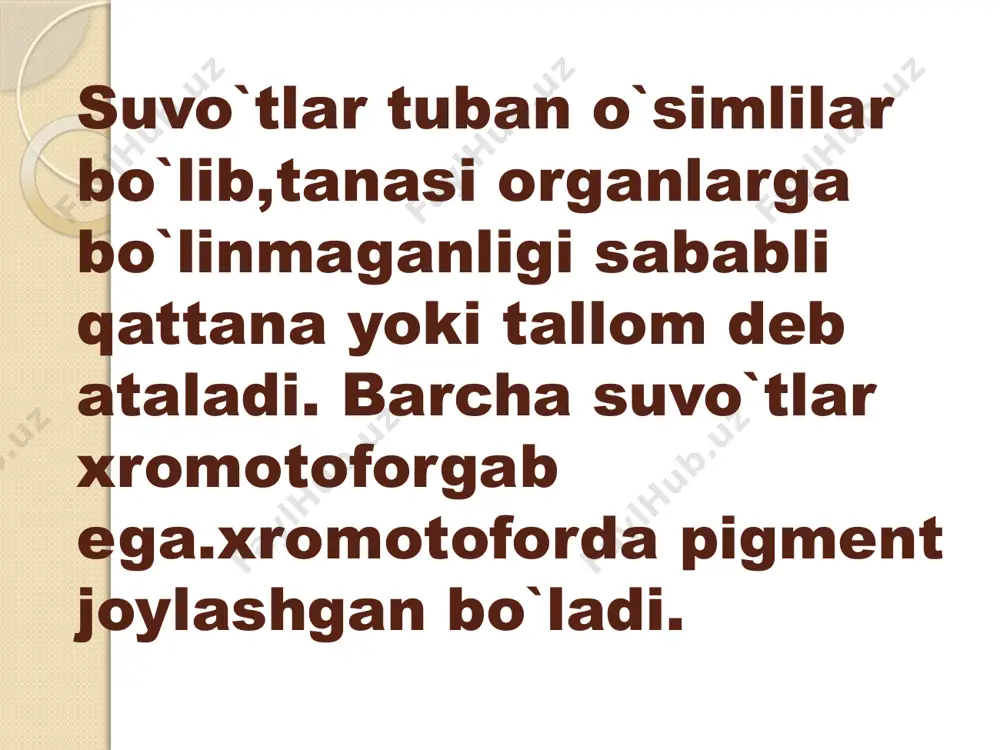 tuban o`simliklar - Page 3