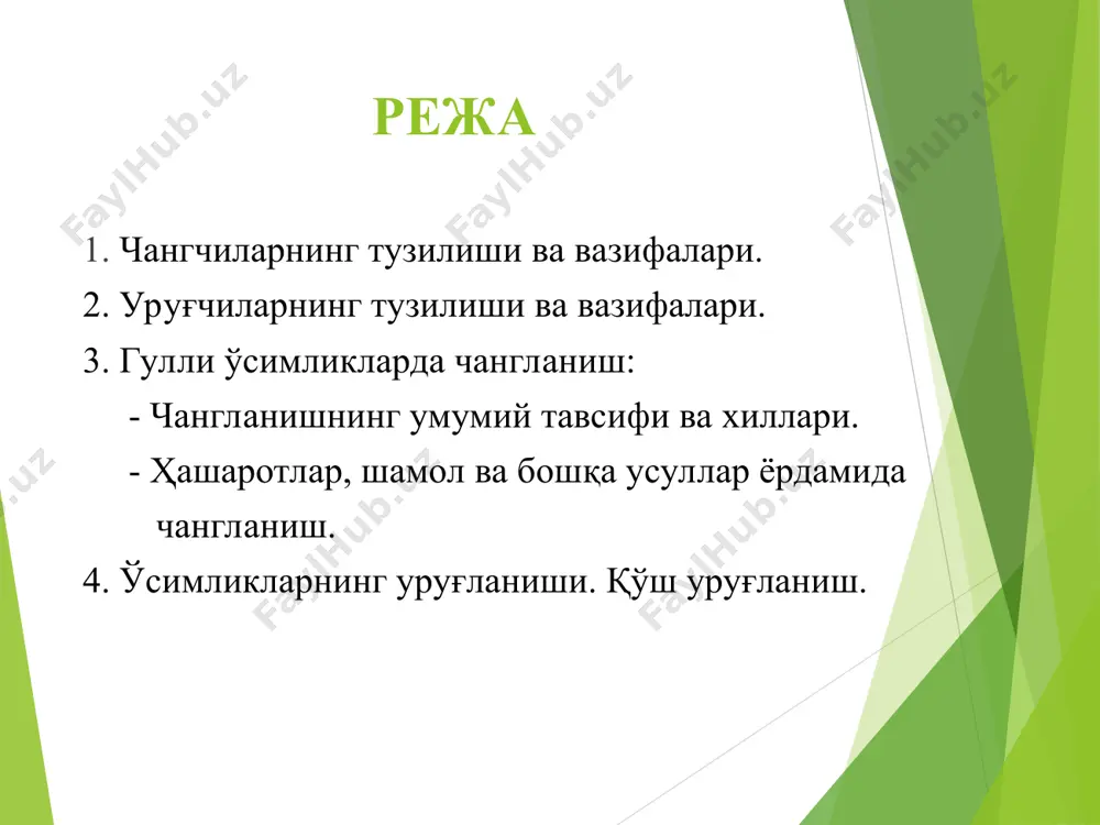 нинг тумшуқчаси, устунчаси ва тугунчаси мавжуд бўлади. 1. уруғчининг тумшуқчаси – уруғчининг кенгайган юқориги қисми. унинг асосий вазифаси чанг қабул қилишдир. тумшуқчанинг шакли хилма-хил бўлиши мумкин, яъни у бошча, чўткача ёки патча шаклида бўлиши мумкин. тумшуқча кўпинча ёпишқоқ суюқлик ёки туклар билан қопланган бўлади. 2. уруғчининг устунчаси тугунча билан тумшуқчани бириктириб туради. баъзи бир уруғчиларда устунча бўлмайди (кўкнор), айримларида эса устунча жуда узун бўлиши ҳам мумкин (масалан, маккажўхори сўталаридаги урғочи гуллар) 3. уруғчининг тугунчаси. тугунча уруғчининг асосий, муҳим қисмларидан бири бўлиб, унинг гулда ўрнашишига қараб устки, остки ва ўрта тугунчаларга ажратилади. яъни тугунчанинг жойлашишига қараб, тугунча гулўриндан юқорига кўтарилиб турса юқориги тугунча, агар ярмигача гулўрин билан қўшилиб ўсиб кетган бўлса, юқориги ярми устунча ва тумшуқча билан эркин қолса ўрта тугунча ҳамда агар тугунча косача ва гултожнинг асоси билан гулўринга қўшилиб ўсиб кетган бўлса, пастки тугунча деб аталади. тугунчанинг ички бўшлиғи уруғкуртаклар ва улардан ривожланадиган уруғлар жойлашиши учун хизмат қилади. уруғкуртаклар …