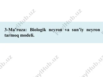 biologik neyron va sun’iy neyron tarmoq modeli — PPTX