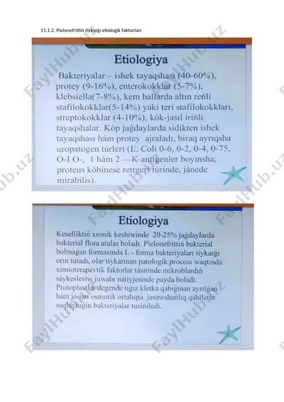 pielonefrit — DOCX