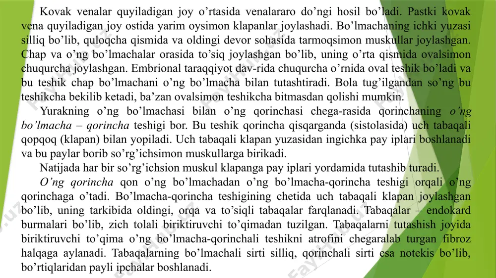 ni eslatadi. bu hujayralar impulьslar ishlab chiqaradi. impulьslar ta’sirida tipik miotsitlar qisqaradi. morfologik jihat-dan atipik miotsitlar tipik miotsitlardan farqlanadi. 1 – aorta, 2 – chap o’pka arteriyasi, 3 – chap bo’lmacha, 4 – chap o’pka venalari, 5 – o’ng bo’lmacha – qorinchali teshigi, 6 – chap qorincha, 7 – aorta qopqog’i, 8 – o’ng qorincha, 9 – o’pka stvolining qopqog’i, 10 – pastki kavak vena, 11 – o’ng bo’lmacha qorinchali teshigi, 12 – o’ng bo’lmacha, 13 – o’ng o’pka venalari, 14 – o’ng o’pka arteriyasi, 15 – yuqoridagi kavak vena. atipik miotsitlar yurakning o’tkazuvchi tizimini hosil qiladi. bular purinьe tolalari deb ham ataladi. bu hujayralarning to’plamlari yurakning ma’lum joylarida uchraydi. yurakning o’ng quloqchasi bilan yuqoriga kavak vena oralig’ida kis-flak tuguni hosil bo’ladi. bundan tashqari yurakning o’ng bo’lmachasi devorida joylashgan uch tabaqali klapanga yaqinroq ashof-tavar tuguni boshlanadi. bu tugundan qorinchalar orasiga gis tutami kiradi, so’ng chap va o’ng oyoqchalarga bo’linadi. yurakning …