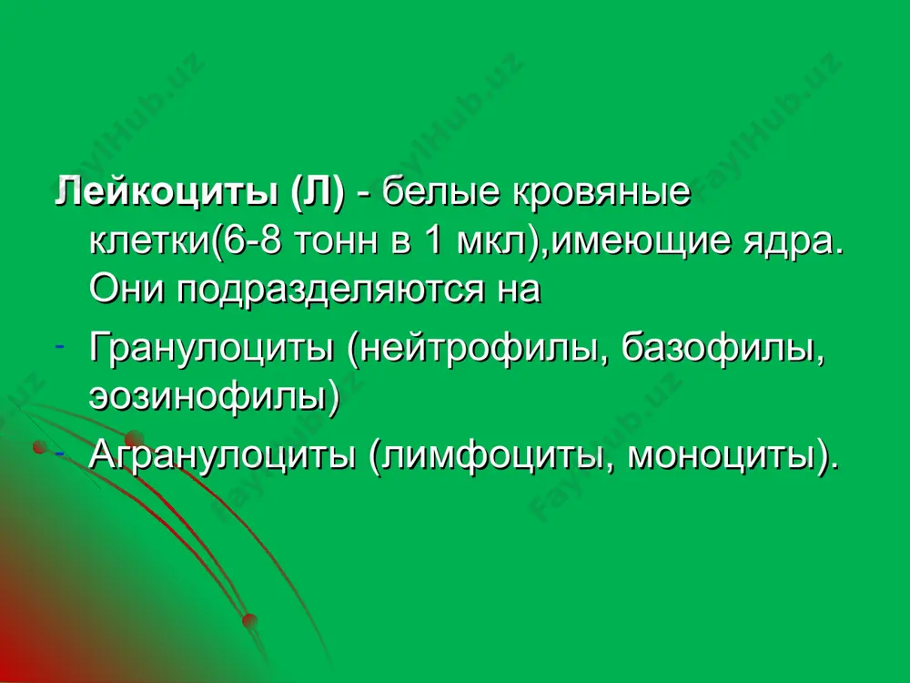 воспаления, что свидетельствует о выздоровлении. агранулоциты (40%) - это лимфоциты и моноциты. образуются в лимфоузлах, миндалинах, пейеровых бляшках, селезенке, вилочковой железе, костном мозге. моноциты (мононуклеарная система) включает в себя многочисленные фагоциты и выполняют функции : секреторную, фагоцитоз, цитотоксическая резорбция, пролиферация, гемокоагуляция, фибринолиз, обмен, спец. иммунитет. лимфоциты (30%;1012 ; 1,5 кг.) живут - 2 дня - 20 и более лет, представляют центральное звено иммунной системы. они только различают «свое» и «чужое». различают 3гр лимфоцитов : т - лимфоциты (70%) киллеры - «убийцы» супрессоры - блокируют «в»l иммунная память амплифайеры - активир. киллеры. 2) в - лимфоциты (25%) создание гуморального иммунитета специфичны 3) «о» лимфоциты (15%) - переходят в т и в лимфоциты. группы крови открыты в 1901г. ландштейнером, за что он в 1930г. был удостоен нобелевской премий. открыты около 250 групп антигенов-эритроцитов и частично лейкоцитов, тромбоцитов, клеток тканей. существуют около 15 систем групп эритроцитов, в каждой из которых по 2-6 групп …