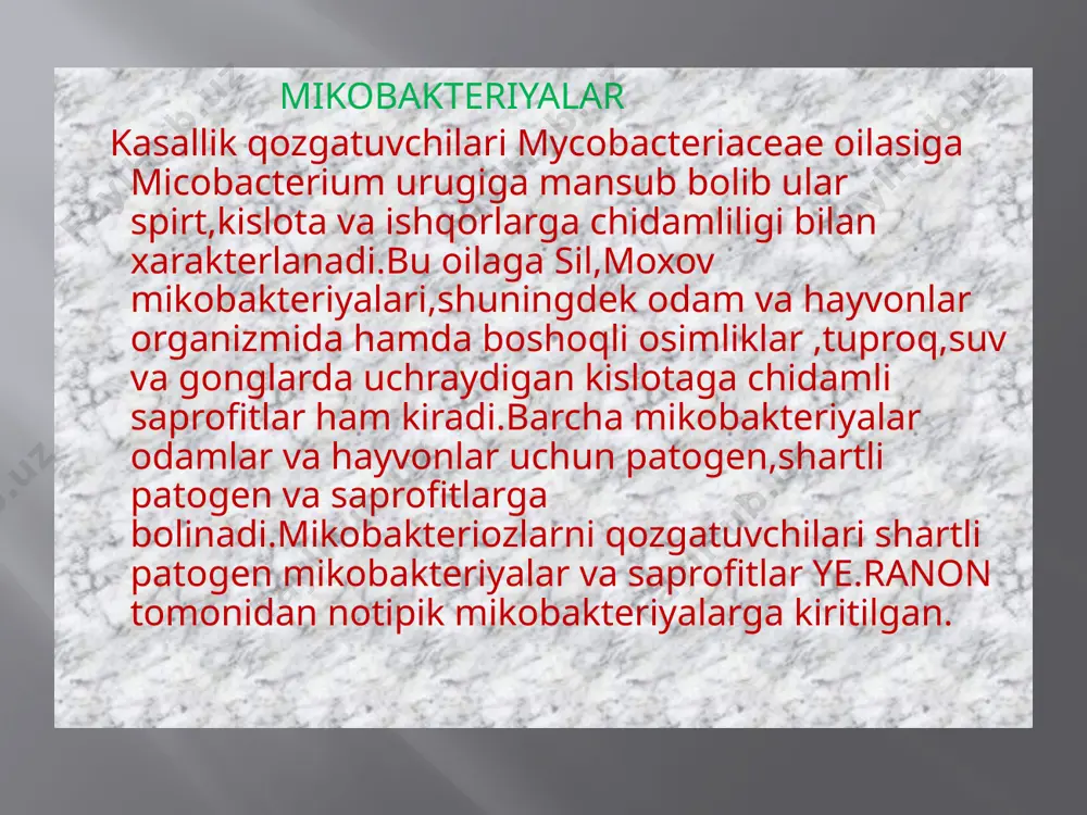 ning 3 turi bilan kasallanadi.m.tuberculosis bilan 92 % dan ortiqroq,m.bovis bilan 5% ,m.africanis bilan 3% kasallanadi.kasallik asosan havo –tomchi va havo-chang yoli bilan yuqadi.kasallik aerogen yol bilan yuqqanda uning birlamchi ochogi opka da alimentar yol billan yuqqanda esa ichakdagi mezenteral limfa tugunlarini zararlaydi odamlarga silga qarshi bsj vaksina qilinadi.labaratoriya tekshirish uchun olinadigan materiallar sil kasalligining klinik korinishiga qarab olinadi:balgam,siydik,yiring,orqa miya suyuqligi,operatsiya vaqtida turli azolardan ajralmalar holida olinadi.sil –nilsen usulida boyalgan surtmalar havorang korish maydonida esa qizil bolib korinadi.kasallikni erta aniqlashda pirke va mantu teri sinamalaridan foydalaniladi.vaksinatsiya uchun quruq vaksina fiziologik eritma bilan suyultiriladi va emlashning birinchi bosqichi tugruqxonada chaqaloqning 5-7 kunlarida tugilganida emlangan bolalar 7- 15-16 yoshlarida qayta revaksinatsiya qilinadi.bsj kalmett va gerenlar tomonidan olingan bolib (bacillus calmette-guerin)deb nomlanadi moxov (lepra)butun organizmni xususan teri nerv sistemasi va ichki azolarni zararlaydigan infeksion kasallik hisoblanadi kasallik qozgatuvchisi kislotaga chidamli moxov mikobakteriyasidir.moxovni qozgatuvchisini norvegiyalik shifokor a.xansen (1871) kashf etgan.moxov mikobakteriyalari togri yoki biroz …