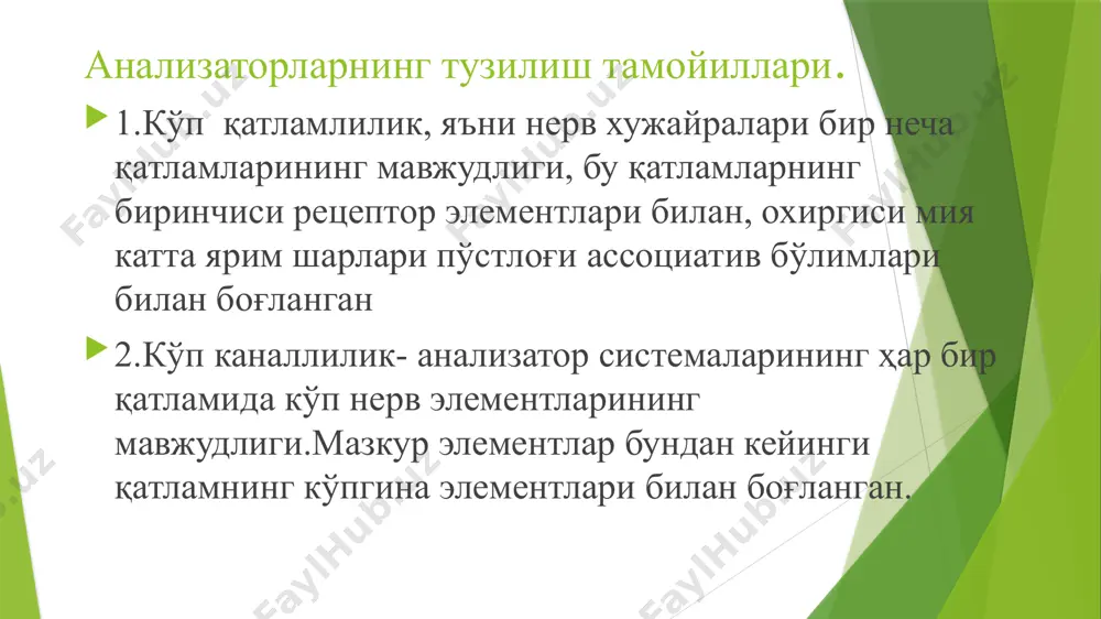 турувчи пигментли хужайралар мавжуд, унинг ўртасида кўзга кирадиган ёруғлик нурлари учун диафрагма ролини бажарувчи тешик-кўз қорачиғи жойлашган. камалак пардада икки мускул бор: қорачиқни торайтирувчи ҳалқасимон мускул ва қорачиқни кенгайтирувчи толалари радиус бўйлаб жойлашган мускул. камалак парда мускуллари муҳитнинг ёритилганлик даражасига қараб қорачиқ диаметрини ўзгартириб туради. кўз олмасининг учинчи қавати тўр парда кўз олмасининг учинчи ички пардасини нерв унсурларининг 10 қаватидан иборат тў р парда ташкил этган. кўз олмасининг бўшлигида гавҳар, шишасимон тана ва кўз суюклиги бор. шох парданинг орқа юзаси билан камалак парда олдинги юзаси орасидаги каваксимон бўшлиқ кўзнинг олдинги камераси дейилади ва унда тиниқ кўз суюқлиги бор. камалак парданинг орқа юзаси билан кўз гавҳари ва киприксимон тана орасида кўзнинг орқа камераси жойлашган. иккала камера ўзаро қорачиқ орқали туташади ва улардаги суюқлик қон томирларга эга бўлмаган тиниқ тўқималар (шох парда, гавҳар ва шиша-симон тана)ни озиклантириб туради. тўр парданинг тузилиши ва функциялари. тўр парда кўзнинг ёруғликни сезувчи ички қавати ҳисобланади.бу ерда …
