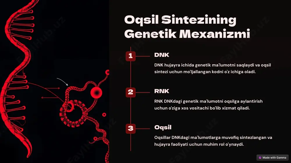 genetik modifikatsiya qilingan mikroorganizmlar yordamida ommaviy ishlab chiqarish mumkin. zaif tomonlar (weaknesses): 1.murakkablik va qimmat narxlar: oqsil biosintezi jarayoni ko'pincha murakkab, ko'p bosqichlardan iborat va yuqori texnologik infrastrukturaga muhtoj. buning natijasida ishlab chiqarish jarayoni qimmat bo'lishi mumkin. 2.resurslar va vaqt: ba'zi hollarda oqsil biosintezi uchun zarur bo'lgan xom ashyo (masalan, amino kislotalar, trna, atp) cheklangan bo'lishi mumkin. bu resurslar va vaqtni tejashni talab qiladi. 3.mikroorganizmlar va qiyinchiliklar: agar mikroorganizmlar yordamida o'simliklar yoki hayvonlarning oqsillari ishlab chiqarilsa, ularning biologik faoliyatini optimallashtirish va nazorat qilish qiyin bo'lishi mumkin. imkoniyatlar (opportunities): 1.qishloq xo'jaligi va farmatsevtika sohasida qo'llanilishi: oqsil biosintezi jarayonini qishloq xo'jaligida ozuqa ishlab chiqarishda yoki farmatsevtika mahsulotlarini ishlab chiqarishda qo'llash mumkin. 2.biyomateriallar va ekologik toza ishlab chiqarish: biotexnologiyaning rivojlanishi bilan oqsillarni ekologik toza va barqaror usullar bilan ishlab chiqarish mumkin. bu yondashuv ekologik zararni kamaytirishi mumkin. 3.yangi oqsil turlari va modifikatsiyalarini yaratish: genetik muhandislik va oqsil biosintezi orqali yangi turlarda oqsillarni yaratish …