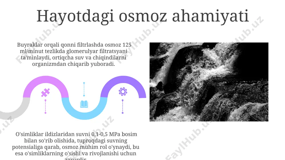 diffuziya va osmos xodisasi - Page 5