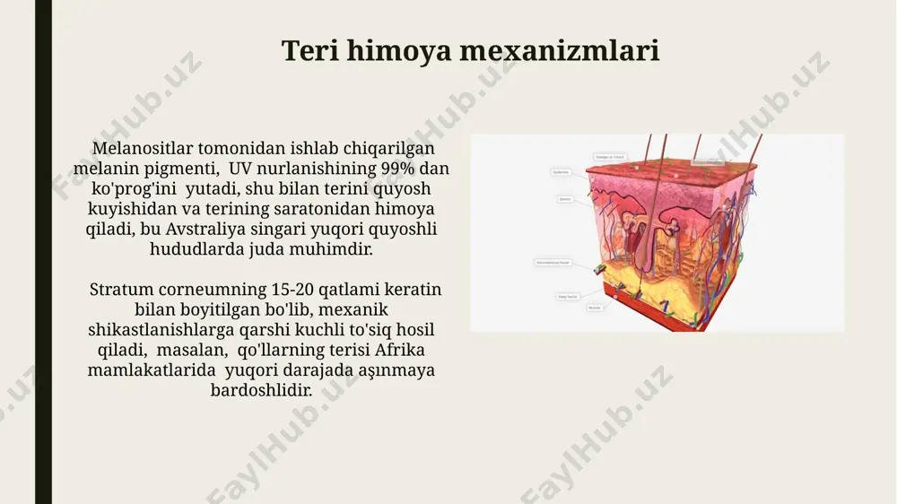 odam terisining tuzilishi - Page 3