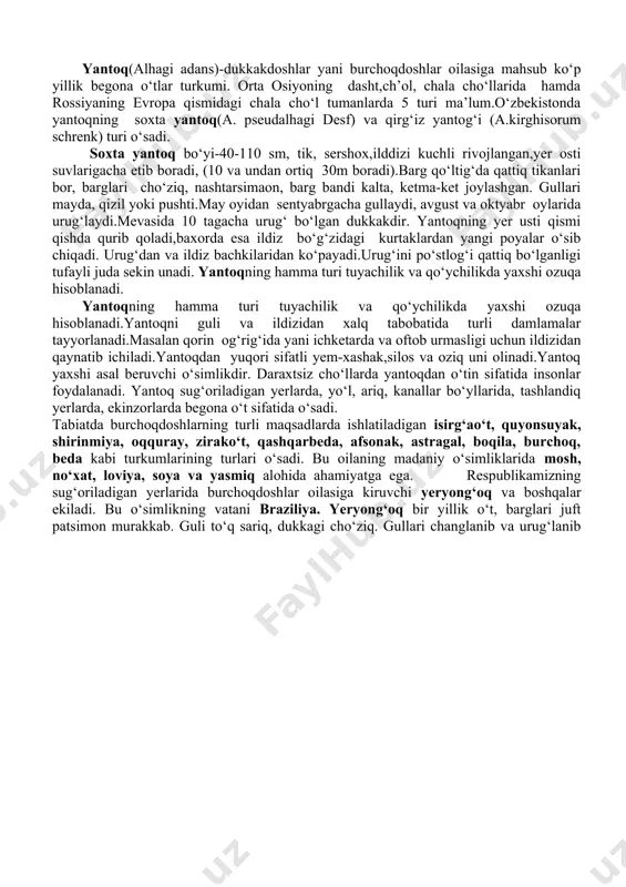 da, yo‘l, ariq, kanallar bo‘yllarida, tashlandiq yerlarda, ekinzorlarda begona o‘t sifatida o‘sadi. tabiatda burchoqdoshlarning turli maqsadlarda ishlatiladigan isirg‘ao‘t, quyonsuyak, shirinmiya, oqquray, zirako‘t, qashqarbeda, afsonak, astragal, boqila, burchoq, beda kabi turkumlarining turlari o‘sadi. bu oilaning madaniy o‘simliklarida mosh, no‘xat, loviya, soya va yasmiq alohida ahamiyatga ega. respublikamizning sug‘oriladigan yerlarida burchoqdoshlar oilasiga kiruvchi yeryong‘oq va boshqalar ekiladi. bu o‘simlikning vatani braziliya. yeryong‘oq bir yillik o‘t, barglari juft patsimon murakkab. guli to‘q sariq, dukkagi cho‘ziq. gullari changlanib va urug‘lanib bo‘lgach gulli novdalari qayrilib tuproq ichiga kiradi va meva hosil qiladi. afsonak iv.yangi mavzuni mustahkamlash uchun topshiriqlar. guruhlarga topshiriqlar : jadval to‘ldirish. yer yuzida tarqalishi o‘zbekistonda tarqalishi gulinig formulasi vakillari ra’nodoshlar karamdoshlar sho‘radoshlar gulxayridoshlar burchoqdoshlar 2-jadval to‘ldirish o‘simlik nomi hayotiy shakli ildizi bargi guli mevasi ahamyari sebarga qariqiz yantog‘i yeryong‘oq guruhlarga beriladi ,xa va yo‘q metodi quyidagicha; 1.yantoq bargi shakli o‘zgarganmi-?-xa .2.yantoqni hashorotlar changlatadimi?-xa 3..yantoq mevasi dukkakmi?-xa 4..yantoq butami?-yo‘q 5.yantoq sho‘radoshlarga kiradi?-yo‘q 6.yantoq jaziramada …