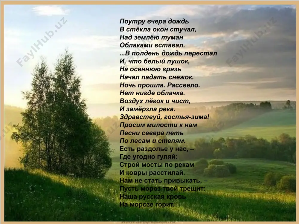 и.с. никитин. 6 -sinf - Page 4