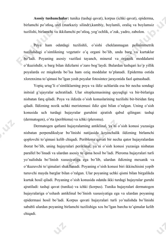 sh konusi biri ikkinchisini yopib turuvchi mayda barglar bilan o’ralgan. ular poyaning uchki qismi bilan birgalikda kurtak hosil qiladi. poyaning o’sish konusida odatda ikki turdagi hujayralar guruhi ajratiladi: tashqi qavat (tunika) va ichki (korpus). tunika hujayralari dermatogen hujayralariga o’xshash antiklinal bo’linish xususiyatiga ega va ulardan poyaning epidermasi hosil bo’ladi. korpus qavati hujayralari turli yo’nalishda bo’linishi sababli ulardan poyaning birlamchi tuzilishiga xos bo’lgan barcha to’qimalar kelib chiqadi. poyaning birlamchi ichki tuzilishi. poyaning birlamchi tuzilishida epiderma, birlamchi po’stloq va markaziy silindlar ajratiladi. epiderma tunika qavatidan shakllanadi. agarda u bir necha qavat hujayralardan iborat bo’lsa, birlamchi po’stloqning tashqi qavatlari ham hosil bo’lishi mumkin. birlamchi po’stloq asosiy parenxima to’qimasidan tashkil topib, tashqi qavatidagi hujayralarida xloroplatlar ham kuzatiladi. kupchilik o’simliklarda birlamchi po’stloq tarkibiga mexanik to’qima kollenxima ham kiradi. sklerenxima kamdan-kam hollarda uchraydi. birlamchi po’stloqning ichki hujayralari endoderma halqasini hosil qiladi. markaziy silindr endoderma bilan chegaralangan peritsikl, o’tkazuvchi elementlar sistemasi va o’zakdan tashkil topgan. peritsikl birlamchi …