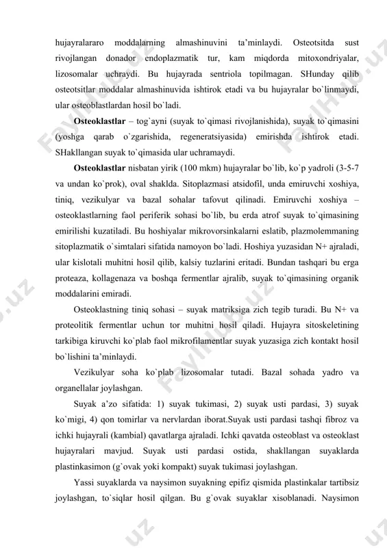 yak tukimasi joylashgan. yassi suyaklarda va naysimon suyakning epifiz qismida plastinkalar tartibsiz joylashgan, to`siqlar hosil qilgan. bu g`ovak suyaklar xisoblanadi. naysimon suyaklarning diafiz kismida plastinkalar bir-biriga zich tegib turadi va kompakt suyakni hosil qiladi. bunday suyaklarning ko`ndalang kesimida farqlanadi: 1. suyak usti pardasi. 2. tashqi umumiy yoki general plastinkalar 3. osteonlar. 4. oraliq yoki qo`shimcha plastinkalar. 5. ichki umumiy yoki general plastinkalar 6. endost (ichki fibroz plastinka). tashqi umumiy plastinkalar suyak usti pardasining ostida joylashadi, lekin to`liq xalqa hosil qilmaydi. ulardan teshib o`tuvchi kanallar o`tib, qon tomirlar va siyrak biriktiruvchi to`qima joylashgan. bu qon tomirlar naysimon suyak bushlig`ida joylashgan suyak ko`migiga va osteonlarga tarmoqlanadi. ichki umumiy plastinkalar endost ostida joylashib, tashqi umumiy plastinkalar tuzilishini eslatadi. osteon – kompakt suyakning struktur-funksional birligi bo`lib, 5-20 ta konsentrik plastinka qatlamlaridan iborat. markazida kanal bo`lib, osteotsitlar va plastinkalar atrofini oziqlantiruvchi qon tomirlar joylashgan. qo`shni osteonlar kanallari anastomozlar yordamida bog`langan. bu anastomozlar qon kapillyarlari tutadi. …