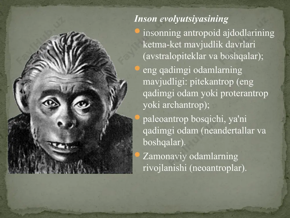 atida izohlaydilar - "materiya - energiya - aura" gumanoid triadasi , yerning ko'plab sayyoralariga xosdir. olam va uning parallel fazolardagi analoglari. tpa ko'pchilik yashashga yaroqli sayyoralarda insoniy koinotlarda ekanligini ko'rsatadi biosfera xuddi shu yo'l bo'ylab rivojlanadi, aura darajasida dasturlashtirilgan - axborot moddasi. qulay sharoitlar mavjud bo'lganda, bu yo'l er tipidagi gumanoid aqlning paydo bo'lishiga olib keladi. umuman olganda, rtada antropogenez talqini evolyutsiya nazariyasidan unchalik farq qilmaydi . biroq, tpa tasodifiy omillar bilan bir qatorda evolyutsiyani boshqaradigan hayot va ongni rivojlantirish uchun ma'lum bir dastur mavjudligini tan oladi. image4.png image5.jpeg image6.jpeg image7.jpeg image8.jpeg image9.jpeg image10.jpeg image11.jpeg image12.jpeg image13.jpg image14.jpeg image15.jpeg image16.jpeg image3.jpeg /docprops/thumbnail.jpeg