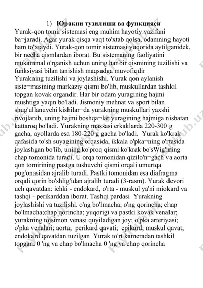 yurakni tuzilishi va funktsiyasi — DOCX