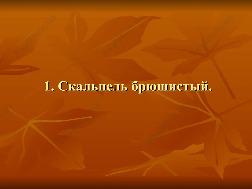 xirurgicheskiye instrumenty - Page 3