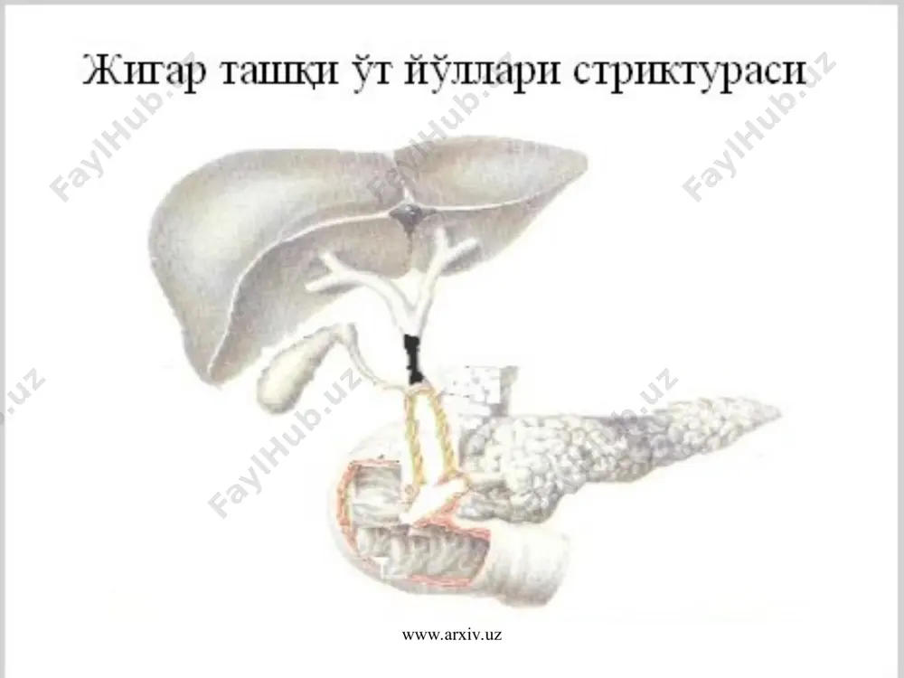 механик сариклик сабаблари - Page 2