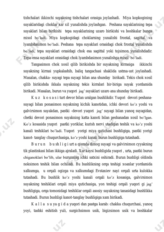 joylashgan. peshana suyaklarining tepa suyaklari bilan birikishi tepa suyaklarining uzaro birikishi va boshkalar bunga misol bo’ladi. miya kopkogidagi choklarning yunalishi frontal, sagittal, va lyambdasimon bo’ladi. peshana tepa suyaklari orasidagi chok frontal yunalishda bo’ladi, tepa suyaklari orasidagi chok esa sagittal yoki tojsimon yunalishdadir. tepa-ensa suyaklari orasidagi chok lyambdasimon yunalishga misol bo’ladi. tangasimon chok xosil qilib birikishda bir suyakning kirrasiga ikkinchi suyakning kirrasi yupkalashib, baliq tangachasi shaklida ustma-ust joylashadi. masalan, chakka- suyagi tepa suyagi bilan ana shunday birikadi. tekis chok xosil qilib birikishda ikkala suyakning tekis kirralari bir-biriga suyak yordamida birikadi. masalan, burun va yuqori jag’ suyaklari uzaro ana shunday birikadi. k u z k o s a s i turt devor bilan uralgan bushlikdir. yuqori devori peshana- suyagi bilan ponasimon suyakning kichik kanotidan, ichki devori ko’z yoshi va galvirsimon suyakdan, pastki -devori yuqori jag’ suyagi bilan yanoq suyagidan, chetki devori ponasimon suyakning katta kanoti bilan peshanadan xosil bo’lgan. ko’z kosasida yuqori …