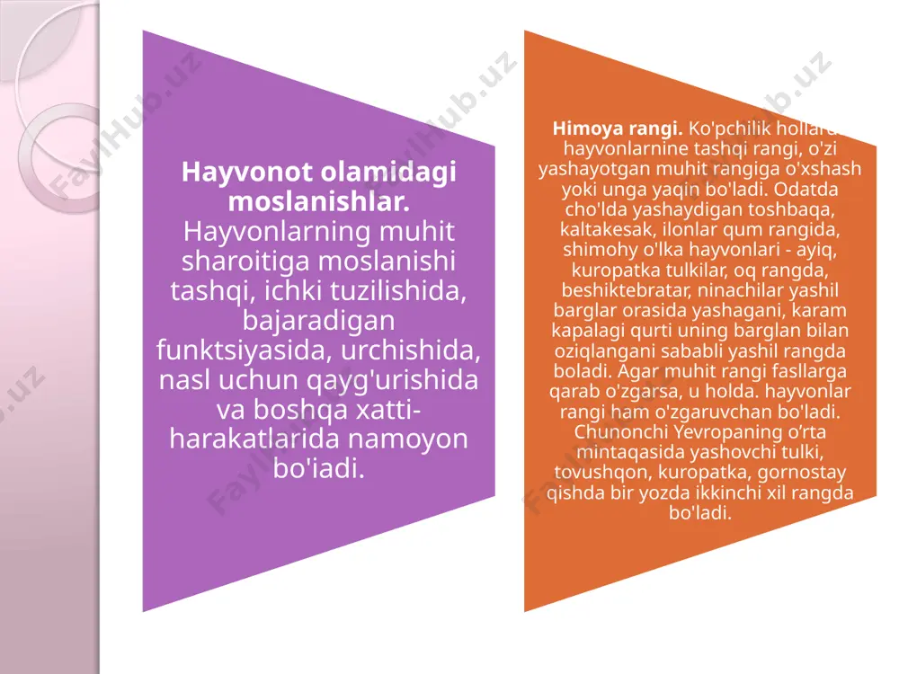 , sanoat markazlari ifloslanib, daraxt tanalari, shox-shabbalari bargiari qurum, changlar bilan qoplana bordi. organizmdagi moslanishlarning nisbiyligi organizmlarning muhit sharoitiga moslanishi uzoq muddatli tarixiy jarayonda tabiiy tanlanish ta'siri tufayli paydo bo'lgan. shunga qaramay u mutlaq emas, nisbiydir. chunki muhit, sharoitlarning o'zgarishi tez, moslanishning paydo bo’lishi esa sekinlik bilan kechadi. moslanishning nisbiy xarakterda ekan­ligini juda ko’p dalillar yordamida isbotlash mumkin. avvalo, organizmda bir turdan saqlanish uchun paydo bo'lgan moslanishlar boshqa turdan himoyalanishda samara bermasligini qayd qilib o'tish kerak. masalan, cho'l toshbaqalarining ustki, ostki kosalari ko'pchilik yirtqich hayvonlardan himoya qilsa ham, burgut, boltayutar, sarisor kabi yirtqich qushlardan himoya qila olmaydi. chunki ular toshbaqalarni osmondan qattiq yerga tashlab parchalab yeydilar. shunga o'xshash tipratikanning «tikanli po'stini» ham uni hamma yirtqich hayvonlardan. xususan tulkilardan himoya qila olmaydi. ko'pchilik hayvonlar. odamlar uchun xavfli hisoblangan zaharli ilonlarni mangustlar, tipratikanlar, cho'chqalar yeyishi ma'lum. ari. qovoq-arini aksariyat ko'pchilik xasharotxo'r qushlar yemagan holda, ular sirdaryo atroflda uchrovchi qarchig'aysimon oilasiga kiruvchi arixo'r …