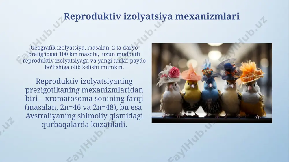 ikada paydo bo'lgan va keyinchalik butun dunyoga tarqalgan. irqlarning ekologik moslashuvi qoraqalpog'istonning qumli cho'llarida yashovchi 20 ga yaqin irqning terining tuzilishi va rangiga oid genetik o'zgarishlar quyosh nurlarining ta'siriga chidamlilikni oshirishga xizmat qiladi. markaziy osiyodagi 1000 dan ortiq irqlarning 50% dan ko'prog'i cho'l sharoitiga moslashgan, ya'ni yuqori harorat va suv tanqisligiga chidamlilikni namoyon qiladi. allopatrik va simpatrikal tur paydo bo'lish simpatrikal tur paydo boʻlishining bir mexanizmi – poliploidiya, masalan, 7000 dan ortiq oʻsimlik turlarining xromosomalar sonining koʻpayishi orqali yangi turlar hosil boʻlishidir, bu jarayon koʻpincha oʻsimliklarning reproduktiv izolyatsiyasiga olib keladi. allopatrik tur paydo boʻlishining yorqin misoli sifatida galapagos orollaridagi 13 ta turli qush turlarining, 2 million yil davomida geografik izolyasiya natijasida paydo boʻlishi misol keltirilishi mumkin. irqiy farqlarning genetik asoslari snp (single nucleotide polymorphism)lar soni, masalan, yevropa va osiyo populyatsiyalarida 1 million atrofida, bu irqiy farqlarning kichik, ammo aniq genetik belgilarini aks ettiradi. irqiy farqlarning atigi 0,1% genetik kod farqi …