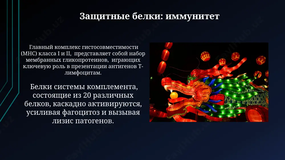belki i ix biologicheskiy funktsii - Page 4