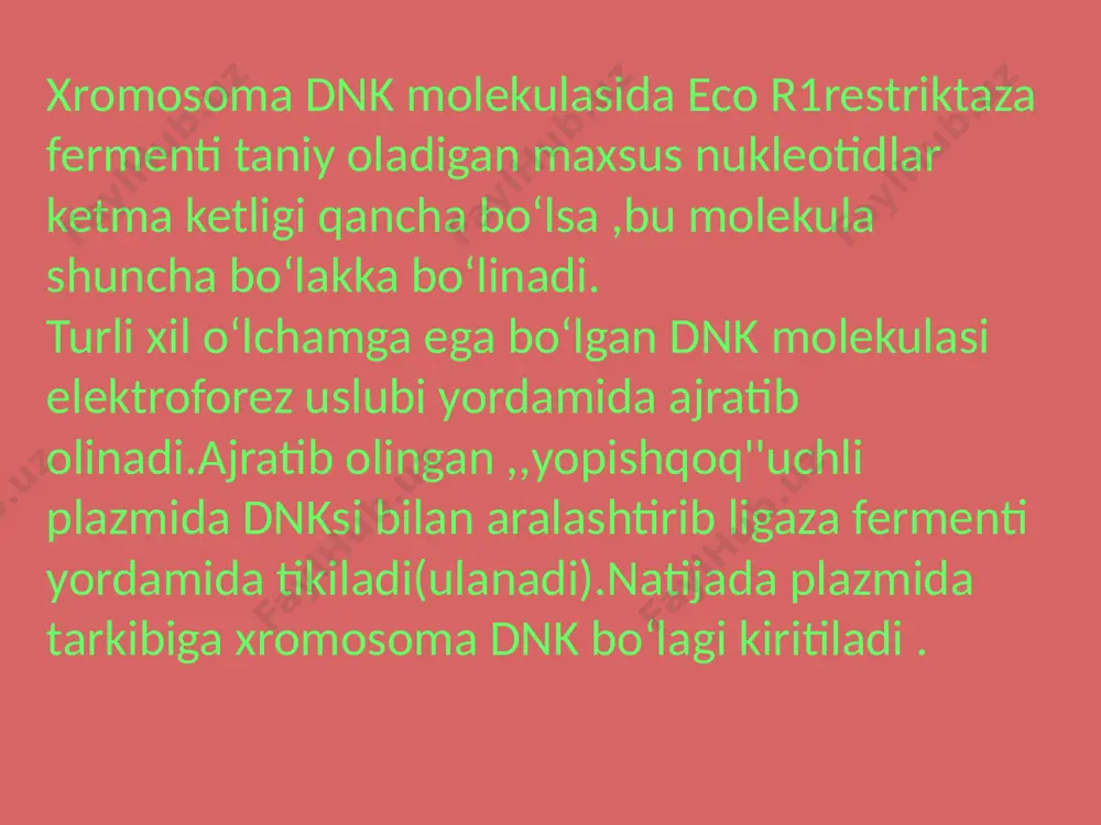 rekombinat dnk olish usullari - Page 5