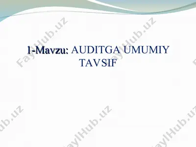 auditga umumiy tavsif — PPT