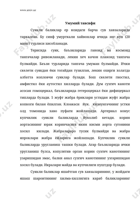 либ олдик. хозирги замонда яшаётган суякли баликлар синфи учта кенжа синфга булинади: 1. шула канотлилар – actinopterygii 2. чутка канотлилар - crossopterygii 3. икки хил нафас олувчилар – dipnoi 1. шула канотлилар кенжа синфи - actinopterygii бу баликларнинг гавдасининг шакли хилма-хил булиб, ер шарининг хамма сув хавзаларида таркалган ва хозирги замондаги баликларнинг жуда купчилигини уз ичига олади. бош скелети гиостилик типда. жабра пардаларини тутиб турадиган шуълалар бор. сузгич канотларини ташки суяк нурлар ушлаб туради. кенжа синфнинг номи хам шундан олинган. шула канотлилар кенжа синфи туртта катта туркумга булинади: тогайли ганоидлар (chondrostei), суякли ганоидлар (holostei), суякдор баликлар (teleostei) ва купканотлилар (polypteri). 1 – тогайли ганоидлар катта туркуми – chondrostei бу катта туркум иккита оилага булинадиган битта осетрсимонлар (acipenseriformes) туркумини уз ичига олади. булар энг кадимги ва содда тузилган суякли баликлардир. уларнинг гавдаси акулаларнинг гавдасига ухшаш дуксимон булиб, бошнинг учида роструми бор, огиз тешиги унинг остига жойлашган. тангачалари узига хос булиб, суяк …