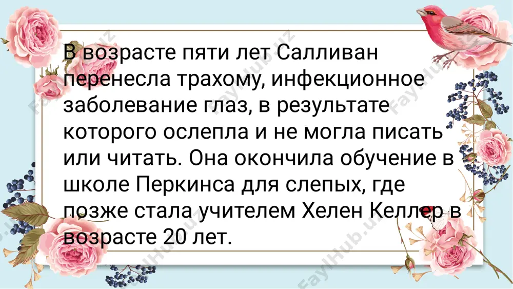 энн салливан - Page 4