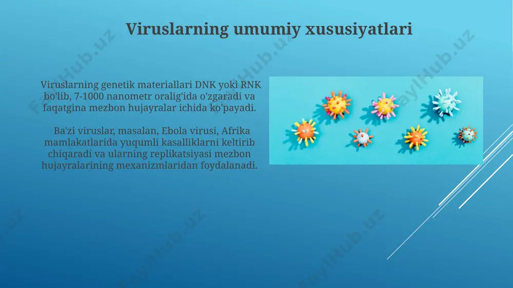 viruslarning klasifikatsiyasi - Page 5