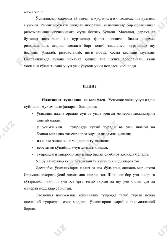 из тукчаларининг вазифаси тупроқдан сув ва озиқ моддаларни сўришдир. шундай тукчаларнинг борлиги илдизнинг сўрувчи юзасини 5-10, ҳатто 30-40 баробар оширади. илдиз тукчалари сув ва ботқоқ ўсимликларда, текинхўр ўсимликларда деярли бўлмайди. илдиз системасини узунлиги турли ўсимлик-ларда турличадир. масалан, карамда 1,5 м,бедада 2 м, ёнғоқда 20 м, янтоқда ундан ҳам ортиқ бўлади. илдиз системасининг умумий узунлиги ҳам турличадир. ғалла ўсимликларида 500-600 м бўлгани ҳолда буғдой илдиз тукларининг жами узунлиги 20 км га етади. қовоқ илдизларининг жами узунлиги тахминан 25 км бўлиб, улар ҳар куни ўрта ҳисобда 300 м га ўсади. илдизлар чексиз ўсиш хусусиятига эга. буни тажриба майдонида осон исботлаш мумкин. лекин табиий шароитда улар ўз имкониятларидан тўлиқ фойдалана олмайдилар. чунки бошқа ўсимликлар илдизи ёки тупроқдаги қаттиқ элементлар буни чеклайди. юқорида айтилганидек, илдизнинг қисмлари апексдан узоқ ёки яқинлигига қараб турли вазифаларни бажаради. битта илдиз системасида турли вазифаларни бажарувчи илдизлар мавжуд. бу фарқ шунчалик каттаки, ҳатто у морфологик жиҳатдан ҳам осон сезилади. кўпчилик …