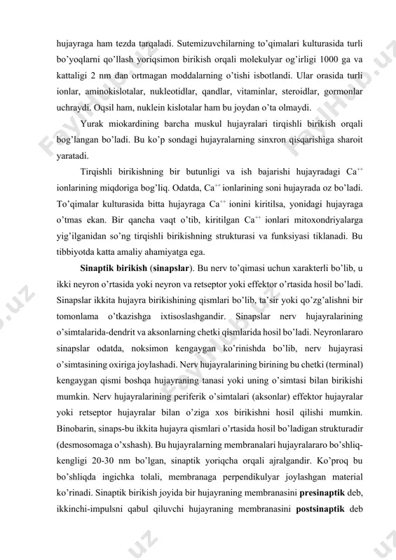 tta amaliy ahamiyatga ega. sinaptik birikish (sinapslar). bu nerv to’qimasi uchun xarakterli bo’lib, u ikki neyron o’rtasida yoki neyron va retseptor yoki effektor o’rtasida hosil bo’ladi. sinapslar ikkita hujayra birikishining qismlari bo’lib, ta’sir yoki qo’zg’alishni bir tomonlama o’tkazishga ixtisoslashgandir. sinapslar nerv hujayralarining o’simtalarida-dendrit va aksonlarning chetki qismlarida hosil bo’ladi. neyronlararo sinapslar odatda, noksimon kengaygan ko’rinishda bo’lib, nerv hujayrasi o’simtasining oxiriga joylashadi. nerv hujayralarining birining bu chetki (terminal) kengaygan qismi boshqa hujayraning tanasi yoki uning o’simtasi bilan birikishi mumkin. nerv hujayralarining periferik o’simtalari (aksonlar) effektor hujayralar yoki retseptor hujayralar bilan o’ziga xos birikishni hosil qilishi mumkin. binobarin, sinaps-bu ikkita hujayra qismlari o’rtasida hosil bo’ladigan strukturadir (desmosomaga o’xshash). bu hujayralarning membranalari hujayralararo bo’shliq-kengligi 20-30 nm bo’lgan, sinaptik yoriqcha orqali ajralgandir. ko’proq bu bo’shliqda ingichka tolali, membranaga perpendikulyar joylashgan material ko’rinadi. sinaptik birikish joyida bir hujayraning membranasini presinaptik deb, ikkinchi-impulsni qabul qiluvchi hujayraning membranasini postsinaptik deb ataladi. presinaptik membrana yaqinida ko’p sonli mayda …