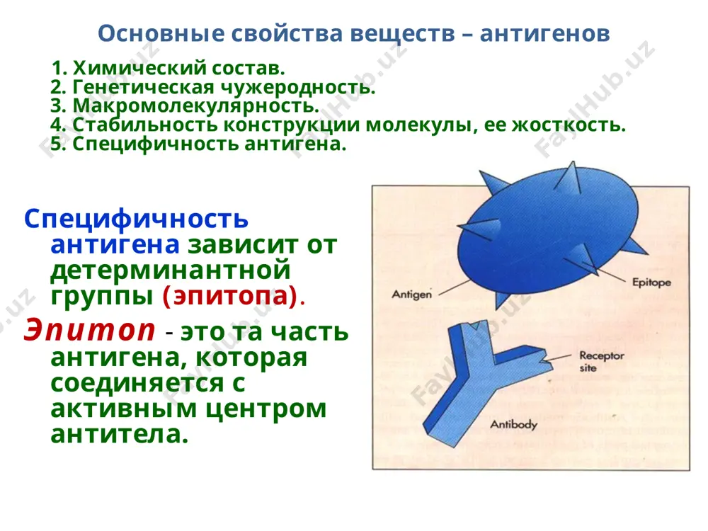 , рнк, липиды. медикаментозные реакции. многообразные фармакологические препараты и продукты их деградации могут связываться с тканями и клетками организма и тем самым из гаптенов превращаются в полноценные антигены, которые индуцируют синтез антител, которые реагируют с ними. часто это происходит на поверхности форменных элементов крови. к образованному комплексу антитело антиген присоединяется комплемент, что обусловливает лизис этих клеток. контактний дерматит аллергены разделяются на неинфекционные и инфекционные. наиболее многочисленной и многообразной является группа неинфекционных аллергенов. к ним относятся: пыльцевые, бытовые, эпидермальные, пищевые аллергены. одной из наиболее распространенных групп неинфекционных аллергенов является группа аллергенов с пыльцы растений, которая влечет массовые аллергические заболевания – полинозы. полиноз тесно связанные с сезоном цветения многообразных растений. в это время в воздухе одновременно может находиться несколько десятков видов пыльцы. различают такие виды пыльцевых аллергенов: 1. из пыльцы сорняков – амброзии, лебеды, полыни, пырея и т. п.. 2. из пыльцы деревьев – клена, дуба, березы, лещины, ясеня. 3. из пыльцы …