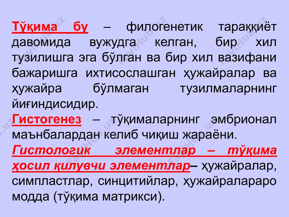 олидифферон хужайралар бир нечта дифферон хужайралардан хосил булади. масалан: ярим узак хужайра узак хужайра кам дифференциаллашган - фибробласт хужайра диференциаллашган фибробласт хужайра ретикуляр хужайра миофибробласт фиброкласт перицитлар булут хужайралар ёки тукима базофиллари адипоцит ёки ёг хужайралар бириктирувчи тукима учун: фиброцит хужайра хосилалари ёки структуралар( симпласт ва синцитий) симпласт бу- бир нечта хужайраларни бир бирига кушилиши натижасида ,битта цитоплазма ва бир нечта ядроларни уз ичига олиши симпласт дейилади. учраш жойи: склет мушакларининг кундаланг- таргил мушакларда ва хорионда учрайди. синцитий-бир нечта хужайраларни бир бири билан цитоплпзматик куприк ёки усиклар ёрдамида бирикиши хисобига хосил булган структурага айтилади. учраш жойи: тиш пульпаси ва эмалида учрайди. тукималарнинг регенерацияси. регенерация- бу тукима ва органларда хужайралар хамда хужайра шаклига эга булмаган тузилмалар доимий хаёт давомида кайтадан тикланиб туришига регенерация дейилади. бу жараён физиологик регенерация дейилади. масалан: тери ва ичак эпителийси, коннинг шаклли элементлари, бириктирувчи тукима хужайралари, силлик мушак тукимаси тукиманинг шикастлангандан сунг кайтадан тикланиши репаратив регенерация дейилади. …