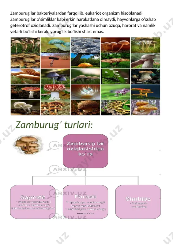 ayyorlagan kitobi. /docprops/thumbnail.emf buxoro viloyat buxoro tumani 27-umumiy o’rta ta’lim maktabi 5-“b” sinf o’quvchisi hasanov temurning “mening ilk kitobim” ijodkorlik tanlovi uchun tayyorlagan kitobi.