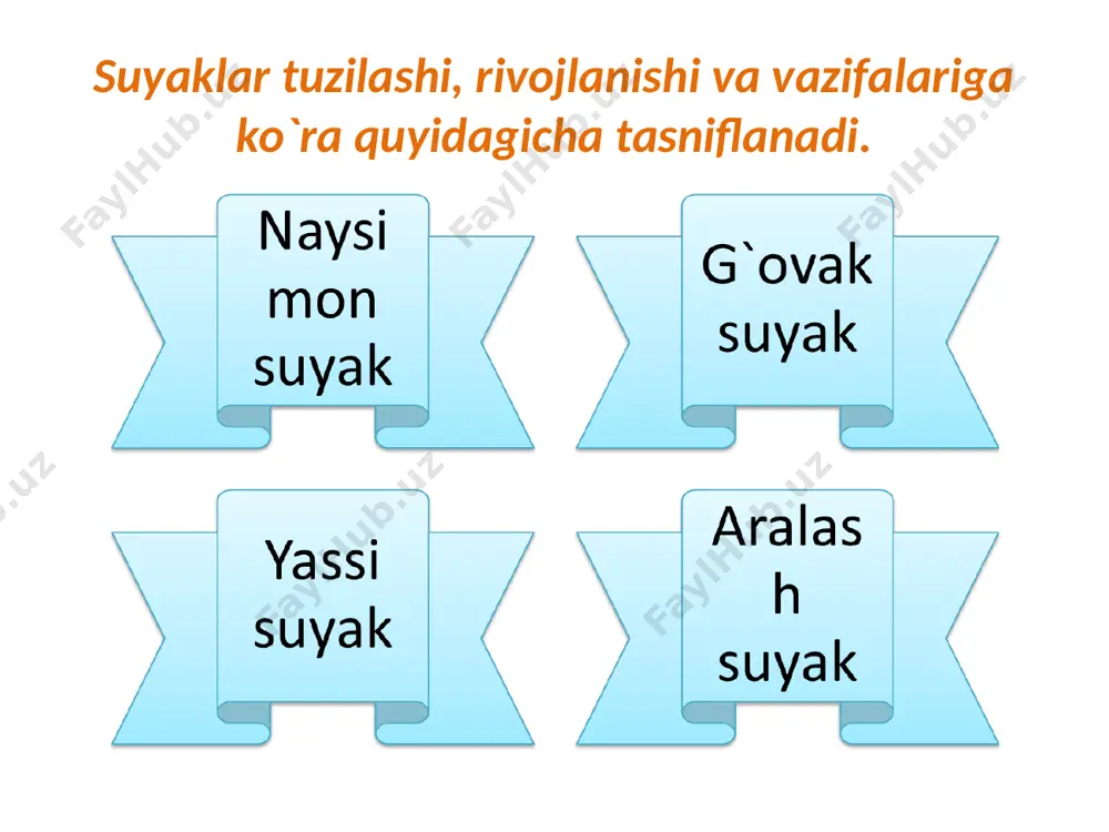 osteologiya-suyaklar haqida ma’lumot - Page 5