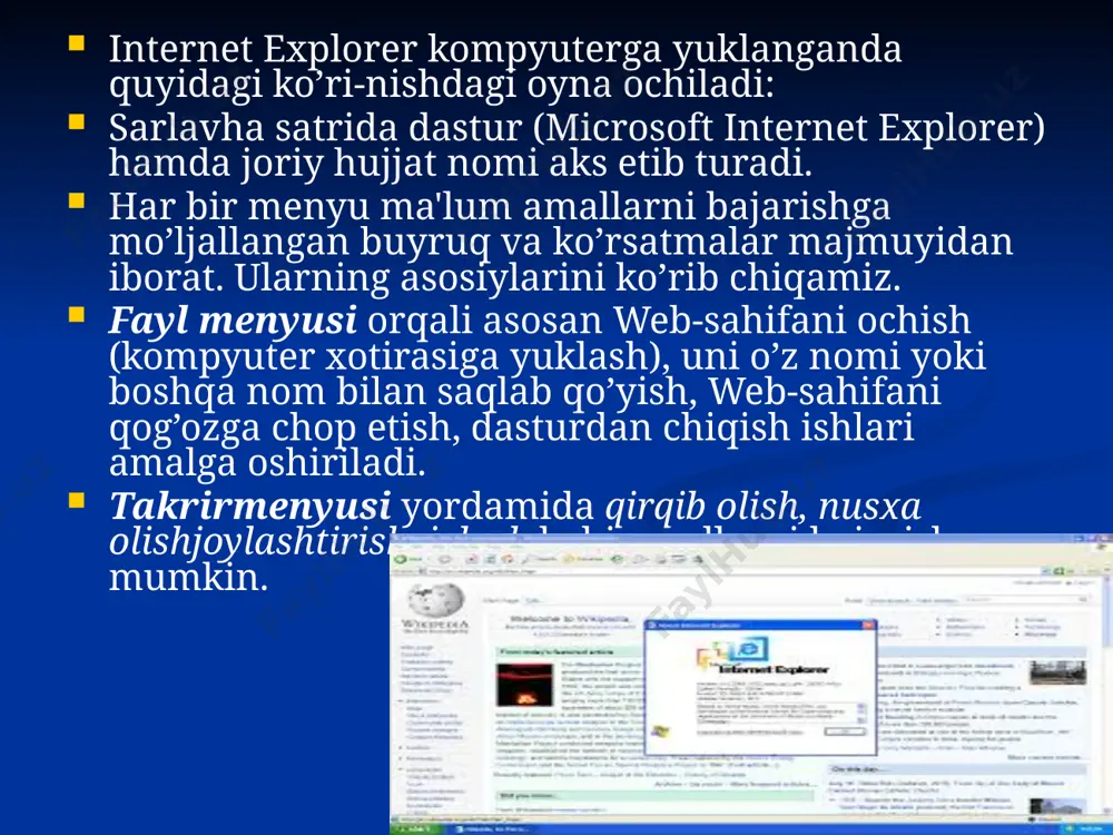 internet explorer 2 - Page 5