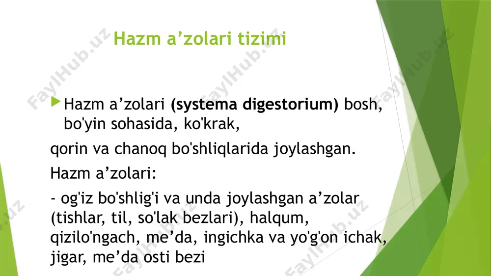 ki qismdan: qattiq va yumshoq tanglaydan iborat. -qattiq tanglay (palatum osseum seu palatum durum) tanglayni oldingi uchdan ikki qismini tashkil qiladi. yumshoq tanglay (palatum molle) qattiq tanglayni orqasida joylashib, tanglayni uchdan bir qismini tashkil qiladi tishlar tishlar (dentes) ovqat hazm qilishda ishtirok etib qolmay, odamda so'z bo'g'inlarini hosil qilishda ham qatnashadi. tish uch qismdan: 1. toji(corona dentes), 2. bo'yni (collum dentis) 3.ildizidan(radix dentis) iborat. odamda tish ikki marta chiqadi: 1. sut tishlari (dentes decidui) – 20 ta 2. doimiy tishlar (dentes pennanentes)-32ta - doimiy tishlar : yuqori va pastki jag'ning har bir tomonida 8 tadan tish joylashgan. o'rta chiziqdan lateral tomonga qarab: 2 ta kesuvchi (kurak), 1 ta qoziq, 2 ta kichik oziq va 3 ta katta oziq tishlar tafovut qilinadi. tish toji va ildizining tuzilishiga qarab to'rt turga ajratiladi: 1. kesuvchi (kurak) tishlar (dentes incisivi) 2. qoziq tishlar (dentes canini) 3. kichik oziq tishlar (dentes premolaris) 4.katta oziq tishlar …
