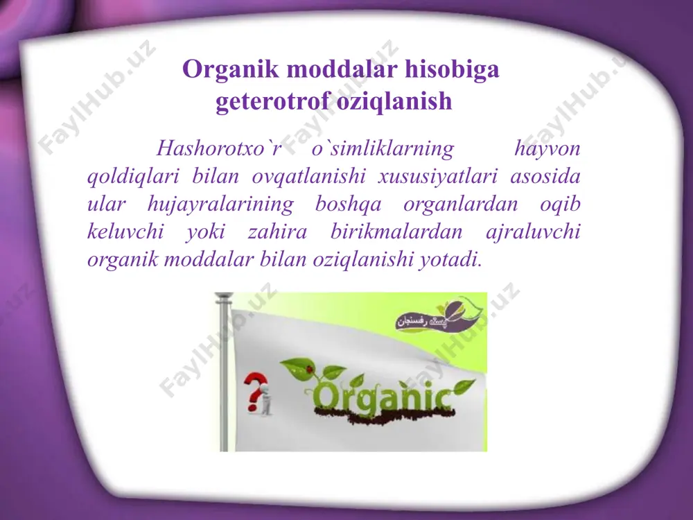 hashorotxo`r o`simliklarning oziqlanishi - Page 4