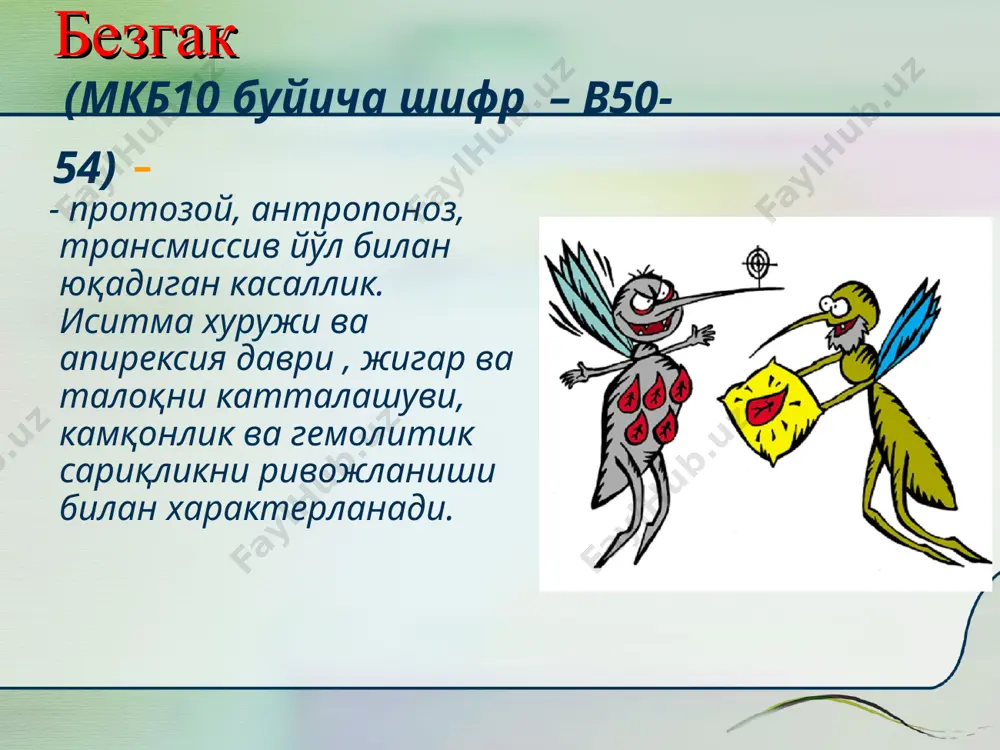 жинсий кўпайиш даври бошланади. эритроцитлардан чиққан эркак гаметоцитлардан микрогаметалар пайдо бўлиб, аёл макрогаметаларни уруғлантиради. оокинета пайдо бўлади (харакатчан зигота), кейин ооциста. ооциста ўсиб 10-20 кундан кейин минглаб спорозоитлар хосил бўлади. ажралган спорозоитлар чивин сўлагида миграция қилиб юради (шу билан жинсий кўпайиш даври тугайди). экзоэритроци-тар (жигардаги) цикл безгакнинг ҳаёт цикли шизогония спорогония спорозоитлар чивиннинг сўлак безлари гаметоцитлар ооциста эритроцитар цикл зигота гипнозоитлар (p. vivax и p. ovale) * the life cycle of all species that infect humans is basically the same. there is an exogenous asexual phase in the mosquito called sporogony during which the parasite multiplies. there is also an endogenous asexual phase that takes place in the vertebrate or human host that is called schizogeny. this phase includes the parasite development that takes place in the red blood cell, called the erythrocytic cycle and the phase tthat takes place in the parencymal cells in the liver, called the exo-erythrocytic …