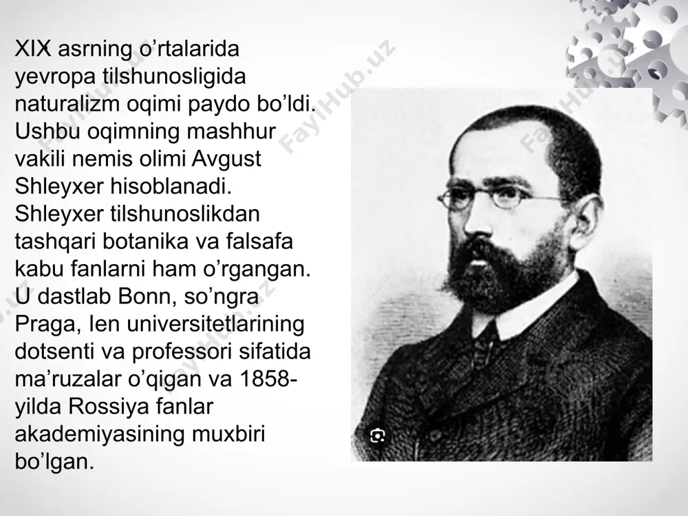 naturalizm xix asrda - Page 5
