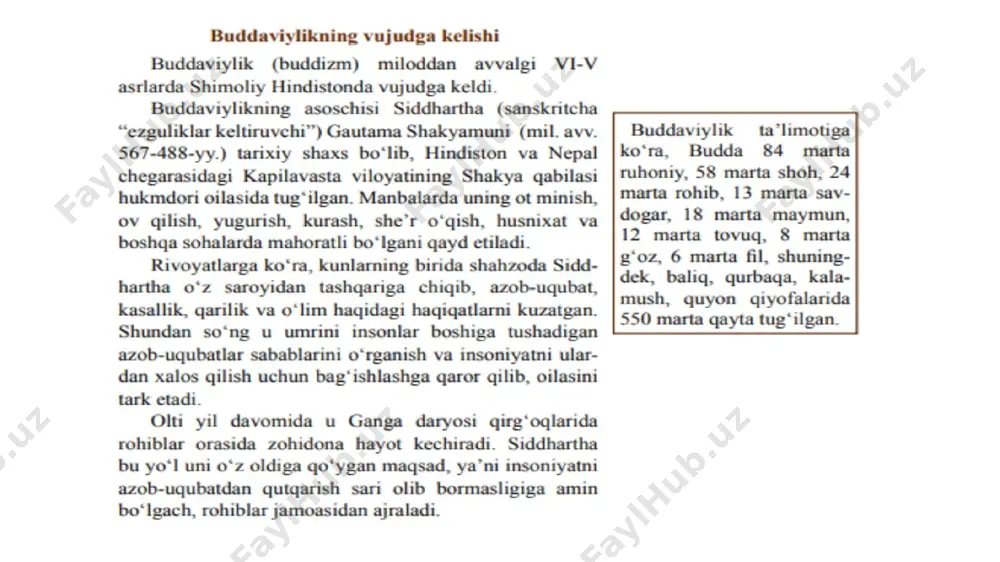buddaviylik - Page 2