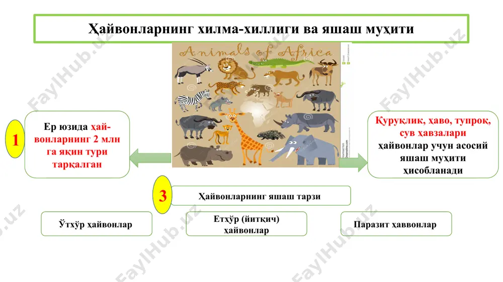 а ҳам кўра олиш имкониятини берадиган махсус кўз пардаси билан қопланган. шу сабабли уларнинг кўзлари ўткир зеҳнга эга ва ялтираб туради тўдада 7-20 нафар бўлиб яшашади. тўдани устунликка эга бўлган жуфтлик бошқаради. дунёдаги вафодор ҳайвонлар ҳақида қизиқарли фактлар от одамга дўст тутинишда ва садоқатда тенгсиз жонивордир. қолаверса, отнинг кўзлари 360 даражали радиусга эга. шунинг эвазига от бурилмай туриб орқадаги ҳодисалар ва хавфни кўра олади. от ақл-заковат жиҳатидан ҳам бошқа жониворларни ортда қолдиради. дунёдаги вафодор ҳайвонлар ҳақида қизиқарли фактлар кучуклар нисбатан ақлли, тез ўрганувчан, буйруқларимизни бажаришга қодир ва инсон хаётининг барча жабҳаларида жуда фойдали шериклар бўлиб қолдилар. улар одатда қоронғиликда мўйловлари ёрдамида йўл излашади. дунёдаги вафодор ҳайвонлар ҳақида қизиқарли фактлар тўтиқушлар одатда ўз эгасига ҳамда жуфти ҳалолига жуда содиқ бўлади. aгар бир инсонга ўрганиб қолса, уни ҳеч қачон ташлаб кетмайди. шунингдек, улар мослашувчан ҳам бўлишади. дунёдаги вафодор ҳайвонлар ҳақида қизиқарли фактлар мушуклар ҳам юқоридаги ҳайвонлар сингари эгасига содиқ бўлади. қизиқарлиси шундаки, …