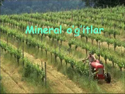 mineral o’g’itlar — PPTX
