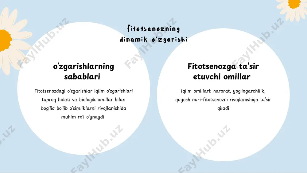fitotsenozning dinamik oʻzgarishini tavsiflash - Page 4