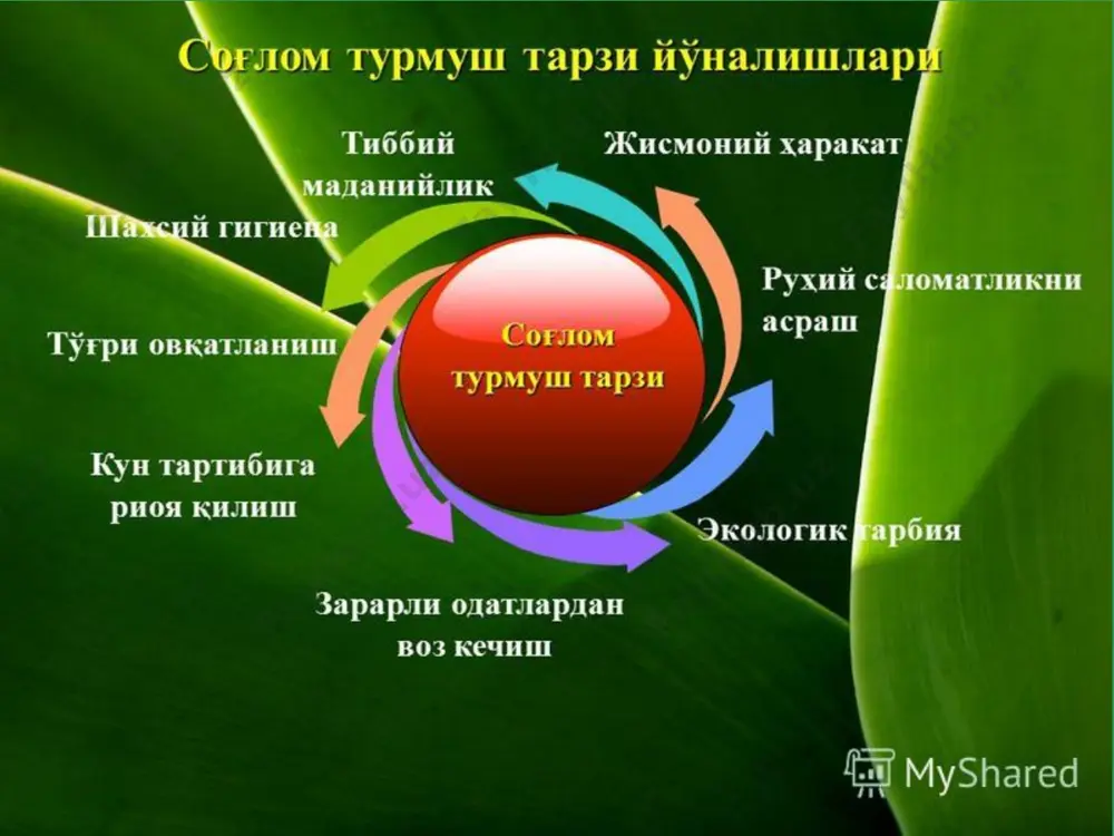 31 май – халқаро кашандаликка қарши курашиш куни - Page 3